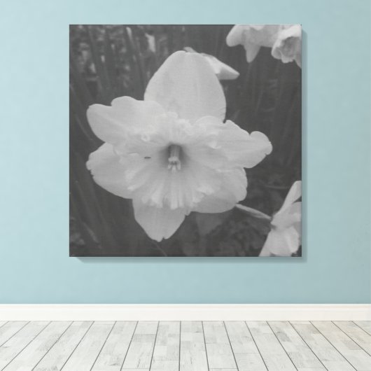 Wild Daffodil Leinwanddruck (Insitu (Holzboden))