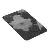 Wild Daffodil Magnet (Rechte Seite)