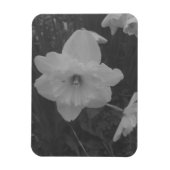 Wild Daffodil Magnet (Vertikal)
