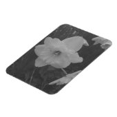 Wild Daffodil Magnet (Linke Seite)