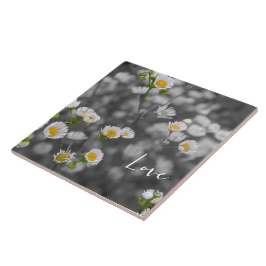 Wild Daisies Fliese (Seite)