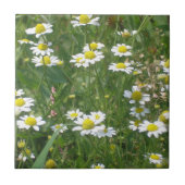 Wild Daisies Keramik Tile Fliese (Vorderseite)