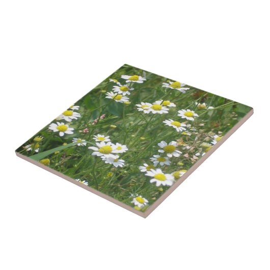 Wild Daisies Keramik Tile Fliese (Seite)