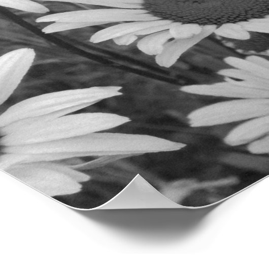 Wild Daisies Love Poster (Ecke)