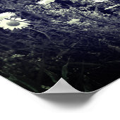 Wild Daisy Blume Schwarz und Weiß Poster (Ecke)