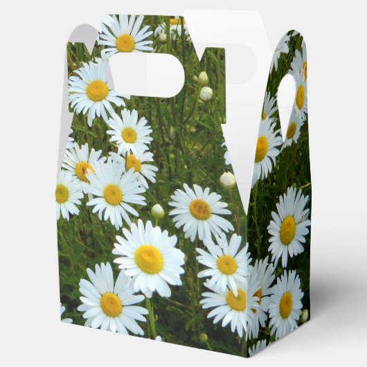 Wild Daisy Gastgeschenk Box Geschenkschachtel (Geöffnet)