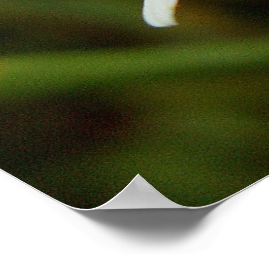 Wild Daisy Poster (Ecke)