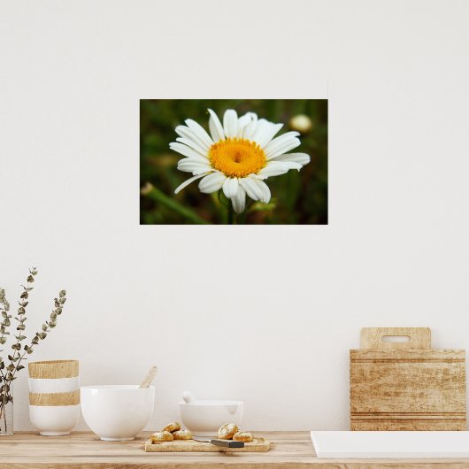 Wild Daisy Poster (Küche)