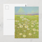 Wild Daisy von Cargill, 1937 Postkarte (Vorne/Hinten)