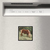 Wild Dartmoor Ponies - 2, England (Magnet) Magnet (In Situ (Geschirrspüler))