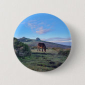 Wild Dartmoor Pony Horse Button (Vorderseite)