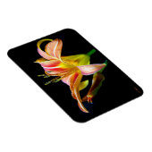 Wild Daylily On A Dark Morning Hike Magnet (Rechte Seite)