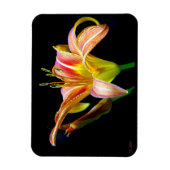 Wild Daylily On A Dark Morning Hike Magnet (Vertikal)