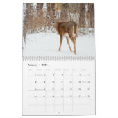 Wild-Deer-Fotografie Kalender (Feb 2026)