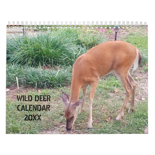 Wild-Deer-Fotografie Kalender (Titelbild)
