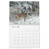 Wild-Deer-Fotografie Kalender (Jan 2026)