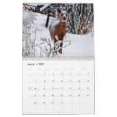 Wild-Deer-Fotografie Kalender (Mär 2027)