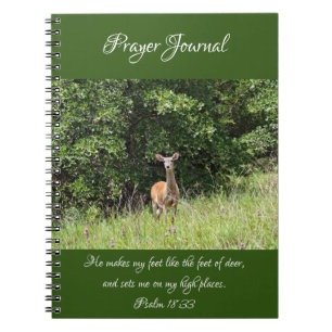 Wild Deer Prayer Journal-Notebook Notizblock