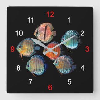 Wild Discus fish Quadratische Wanduhr