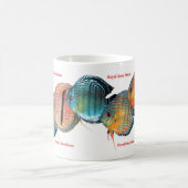 Wild Discus Kaffeetasse (Mittel)