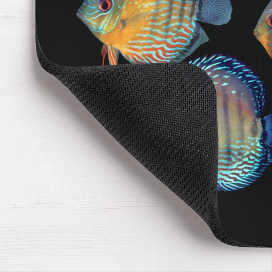 Wild Discus Mousepad (Ecke)