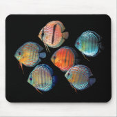 Wild Discus Mousepad (Vorne)