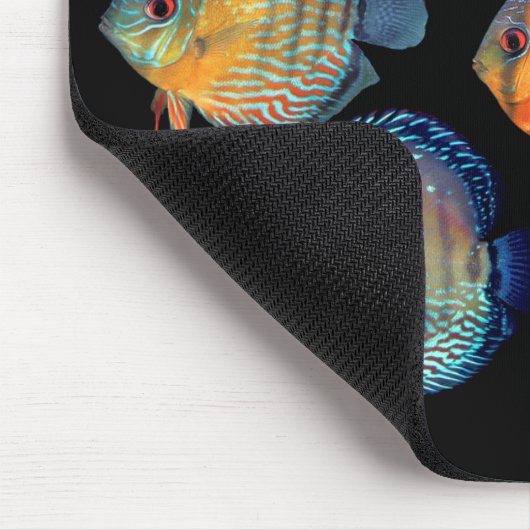 Wild Discus Mousepad (Ecke)