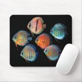 Wild Discus Mousepad (Mit Mouse)