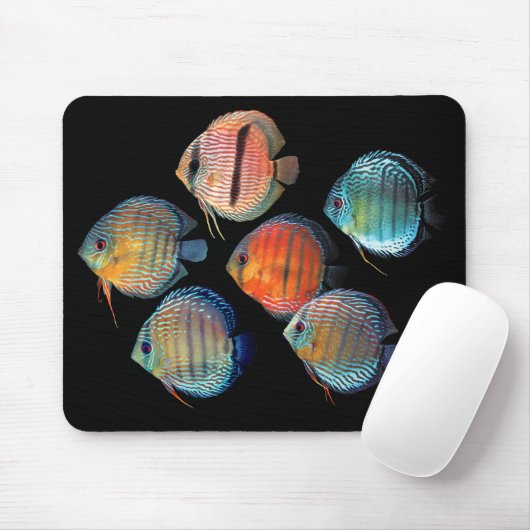 Wild Discus Mousepad (Mit Mouse)