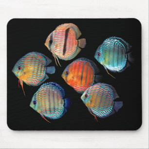 Wild Discus Mousepad