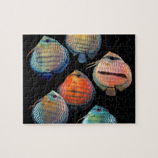 Wild Discus Puzzle (Horizontal)