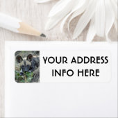 WILD DOG PUPPY (Insitu)