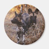 Wild Dogs Magnet (Vorne)