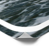 Wild Dolphin Poster Print (Ecke)