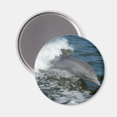 Wild Dolphin Round Magnet (Vorderseite/Rückseite)