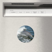 Wild Dolphin Round Magnet (In Situ (Geschirrspüler))