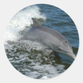 Wild Dolphin Stickers (Vorderseite)
