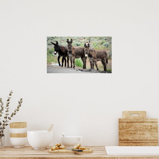 Wild Donkey Trio Poster Print (Küche)