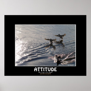 Wild Duck ATTITUDE Motivierend Nature Foto Print Poster
