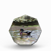 Wild Duck Foto Block (Vorderseite)