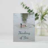 Wild Duck Postcard Postkarte (Stehend Vorderseite)