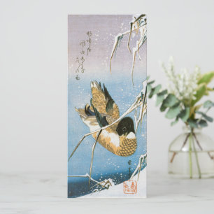 Wild Duck Schwimmend zwischen schneebedecktem Schi