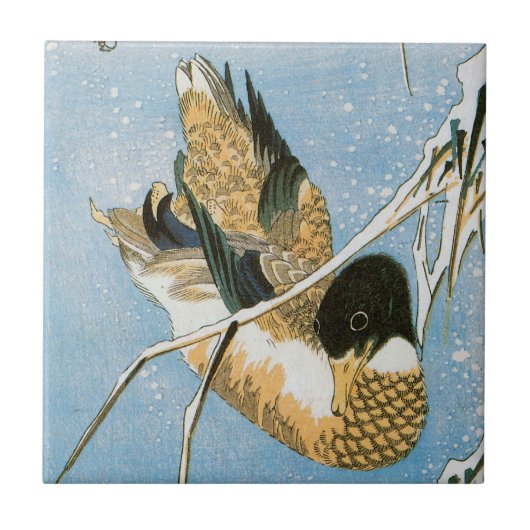 Wild Duck Swimming Snow Laden Reed von Hiroshige Fliese (Vorderseite)