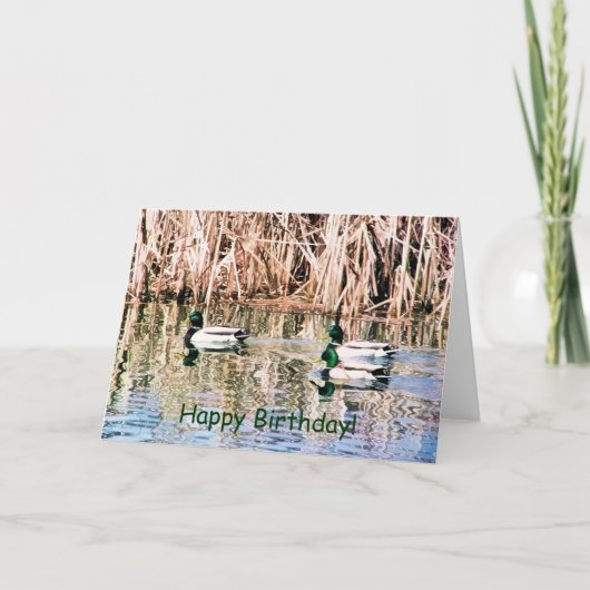 WILD DUCKS KARTE (Vorderseite)