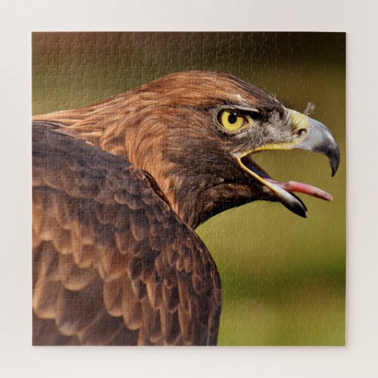 Wild Eagle Jigsaw Puzzle,676 Stk. Puzzle (Vertikal)