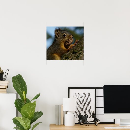 Wild Eichhörnchen Foto Poster (Heimbüro)