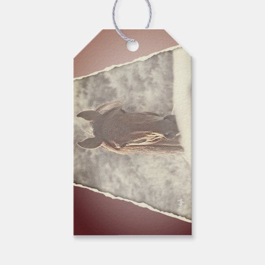 Wild Ein Flüchtige Blick, Geschenkpackung mit Garn Geschenkanhänger (Vorderseite)