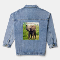 Wild Elephant