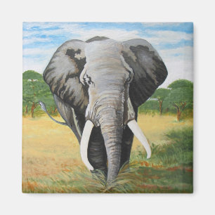 Wild Elephant Magnet