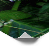 Wild Elephant Oar Poster (Ecke)